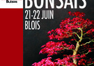 Exposition de bonsaïs