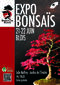 Exposition de bonsaïs