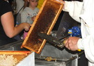 Le millésime 2022 du miel est en pot