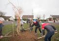 Environnement et cadre de vie